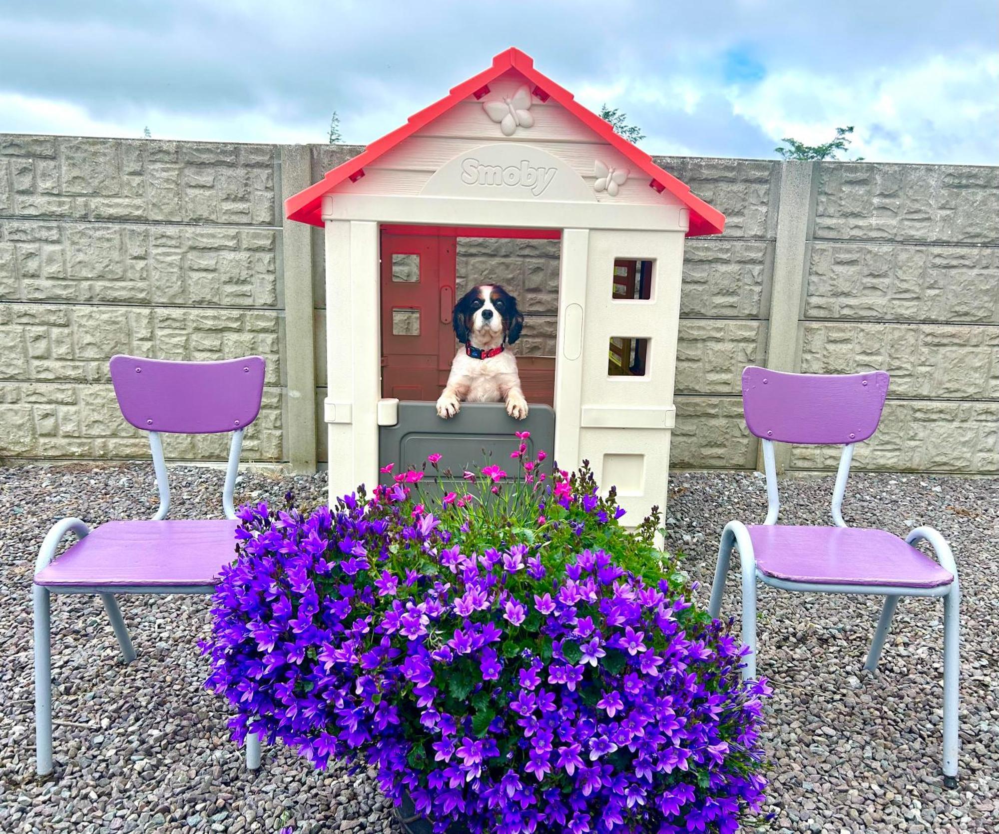 Breenville Farm House Tralee Bagian luar foto